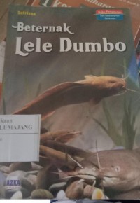 Beternak Lele Dumbo