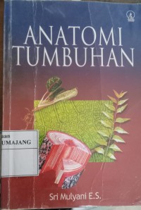 ANATONOMI TUMBUHAN