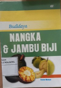 Budidaya NANGKA DAN JAMBU BIJI